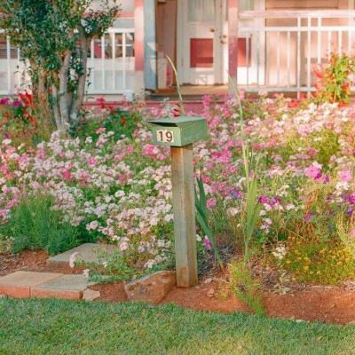 联合国报告称美国有4000万人贫困 美主持人凌乱了